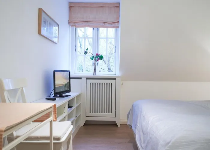 Wiesengruen Wyk auf Foehr